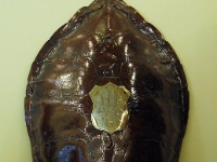 The Turtle Shell.  This is a large turtle shell and the story goes that it used to be used for serving turtle soup, until one day a chef was bitten quite seriously by a turtle. Since then, turtle soup has not been served.